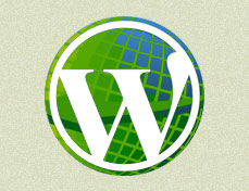 Custom Wordpress Blog Design